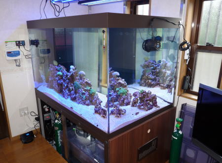 大阪府豊中市 Y様 1500オーバーフロー水槽